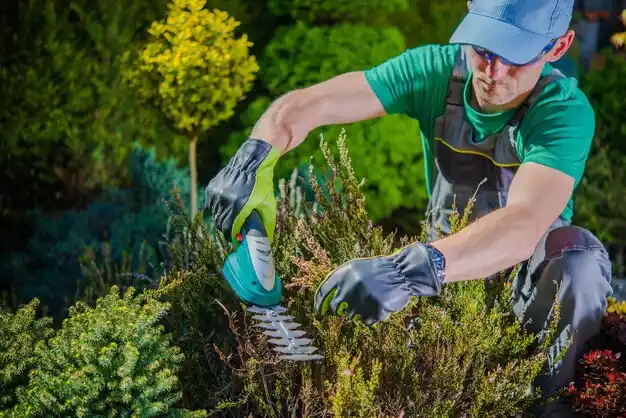 landscaping services Baldwinsville